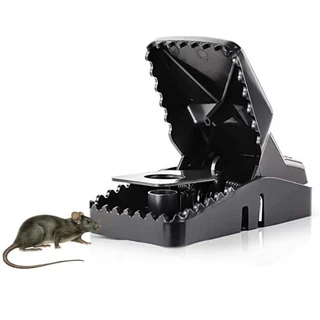 Rat Traps